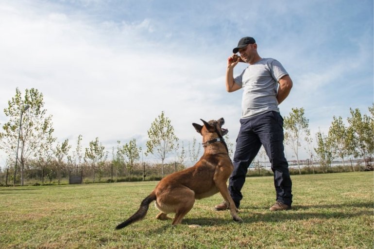 Reforço Positivo: O Coração do Método - inspiração 2