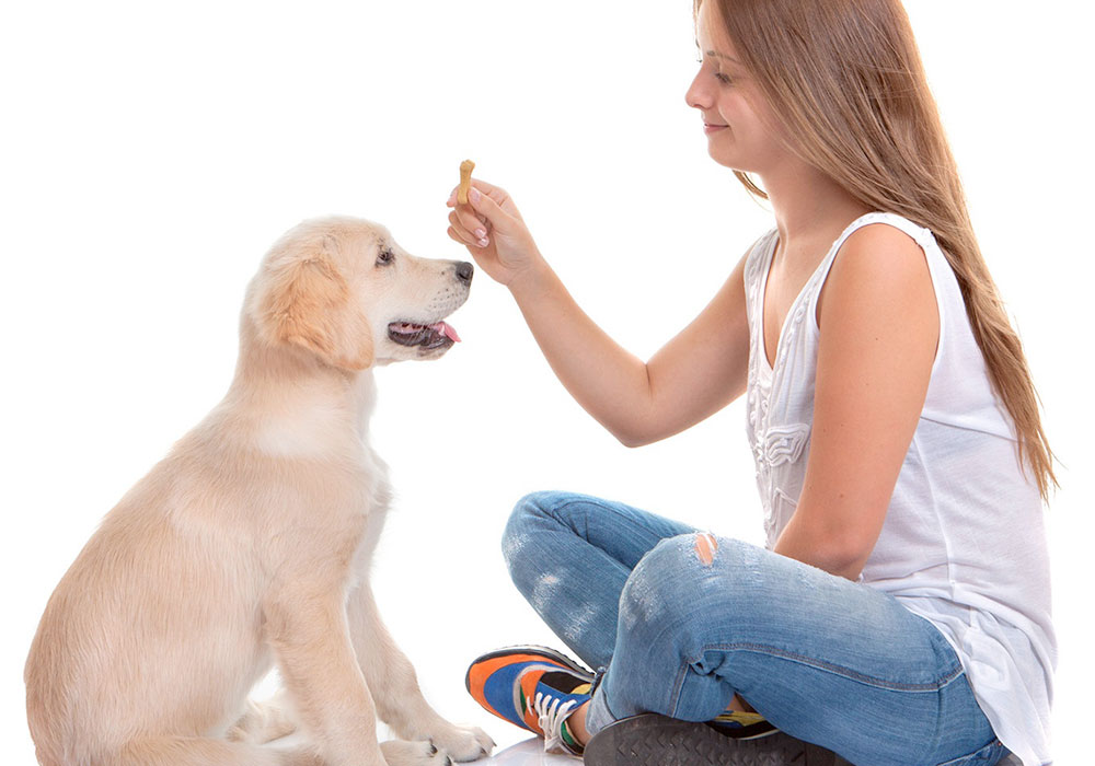 Técnicas de Reforço Positivo na Prática - inspiração 1