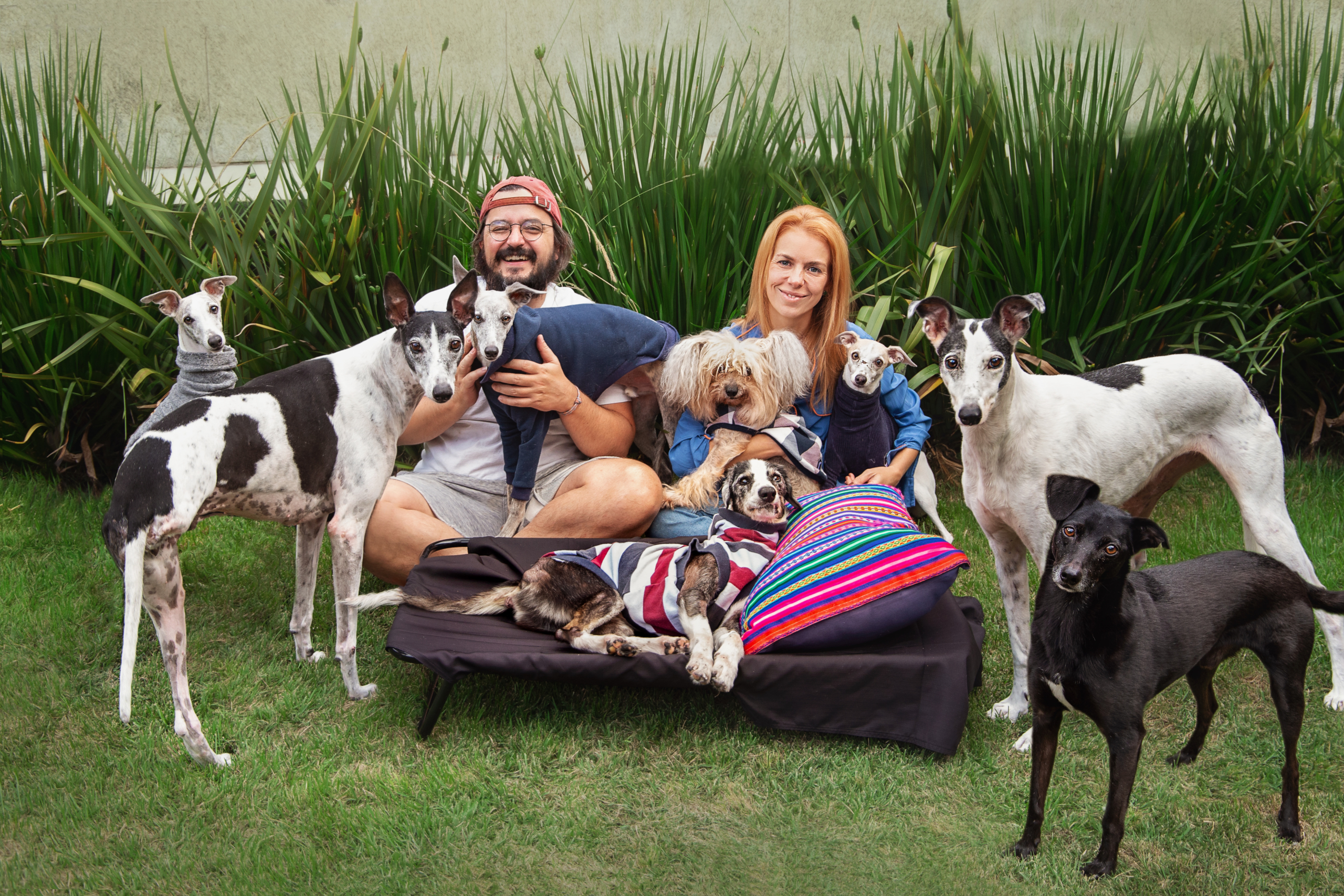 Cuidados Essenciais: Como Garantir Anos Dourados para Seu Cão Idoso