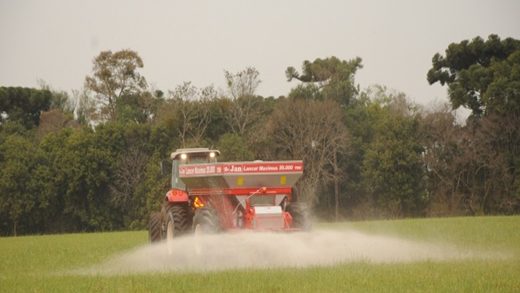 Adubação de Cobertura Para Hortaliças: Mais Sabor e Saúde no Seu Prato - inspiração 2
