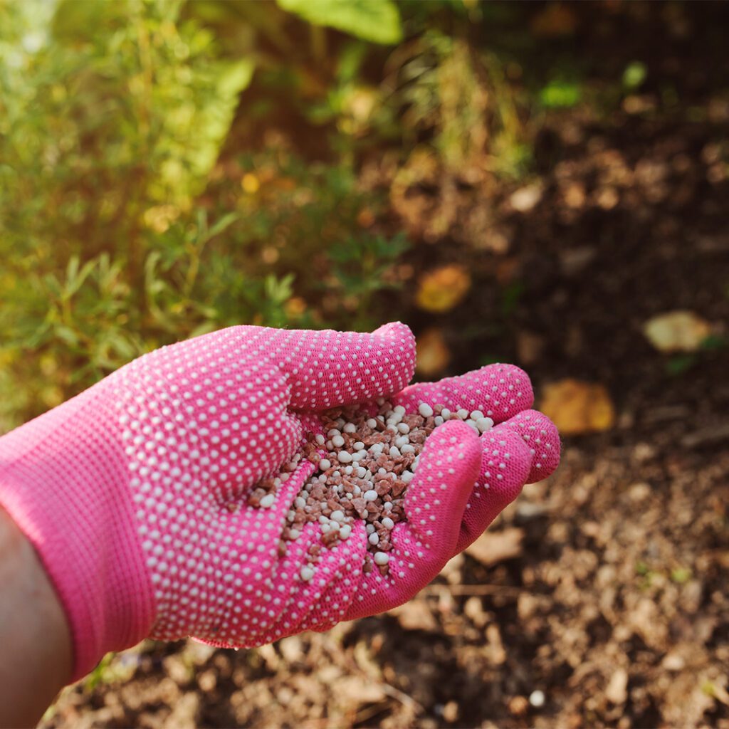 Adubação de Cobertura Orgânica vs. Mineral: Vantagens e Desvantagens - inspiração 1