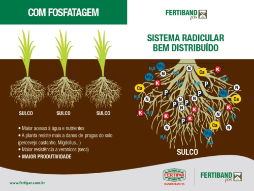 Adubação de Cobertura Orgânica vs. Mineral: Vantagens e Desvantagens - inspiração 2