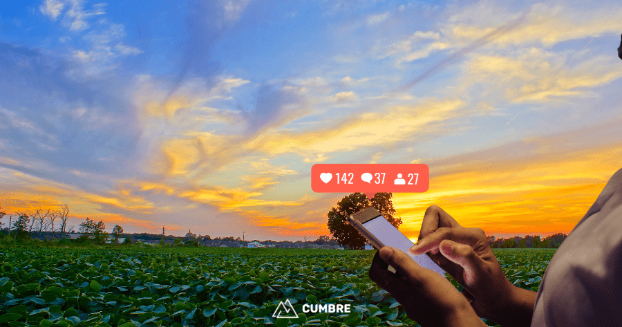 Redes de Conhecimento e o Futuro do Campo