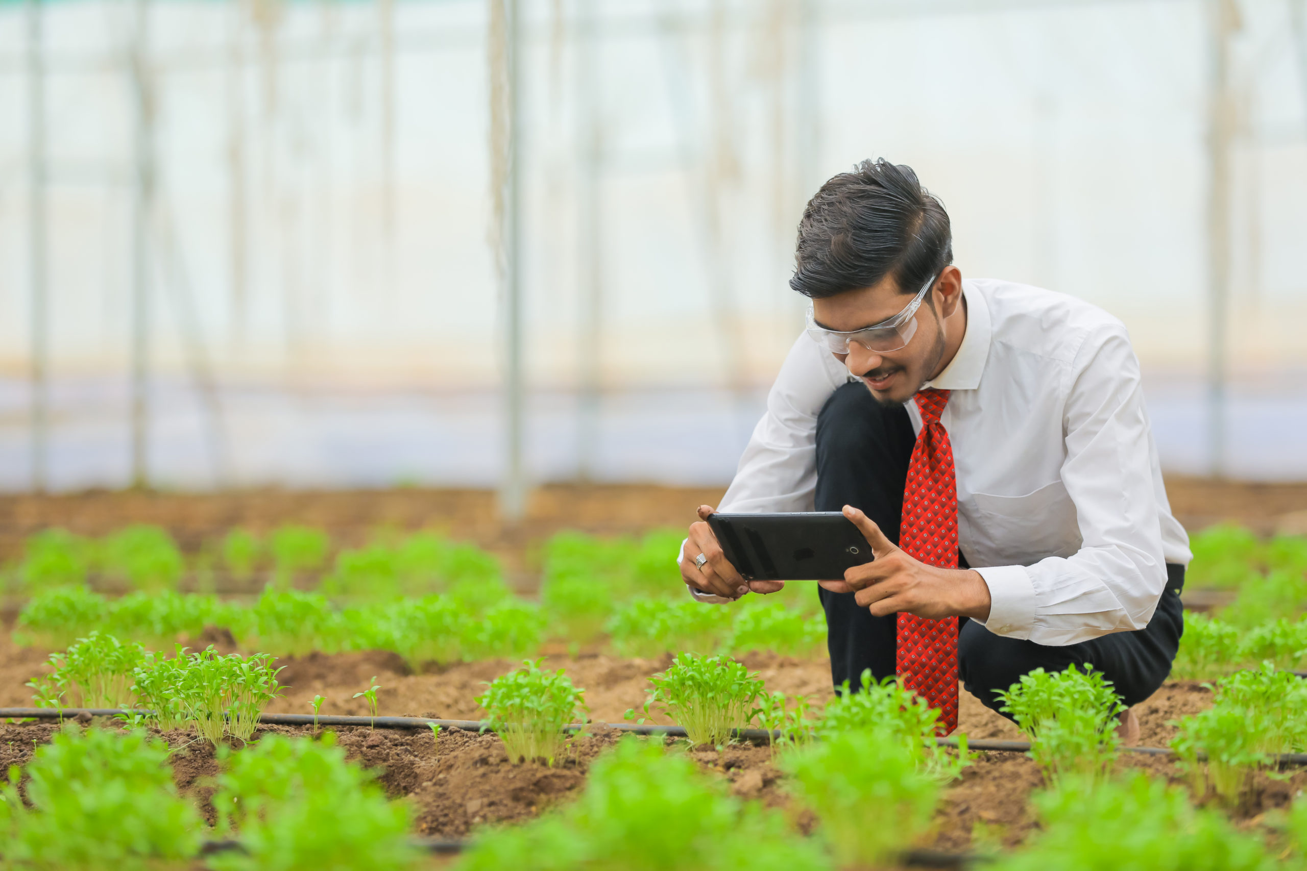 As Melhores Plataformas Para o Seu Agronegócio