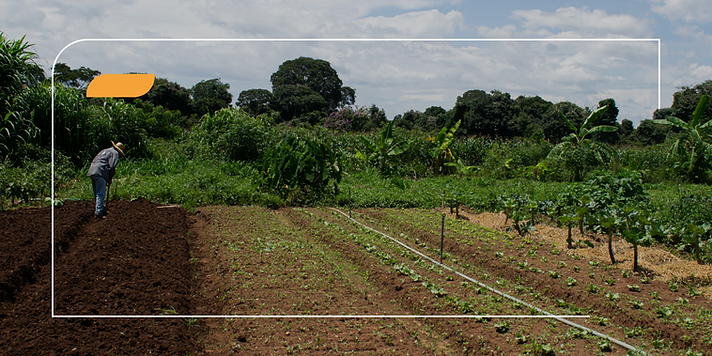 Diversidade de Culturas: Tesouros da Terra Brasileira - inspiração 1