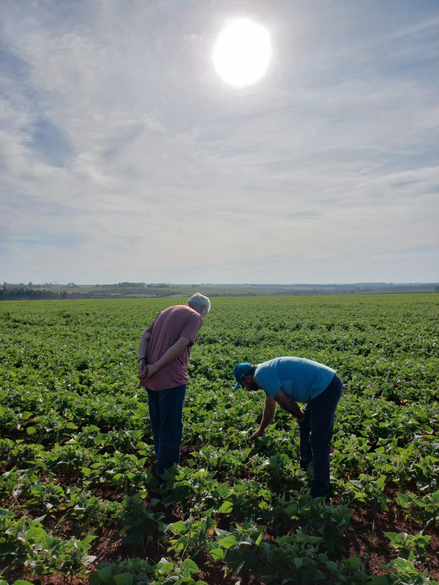 O Papel da Mulher na Agricultura Familiar e Bioeconomia - inspiração 1