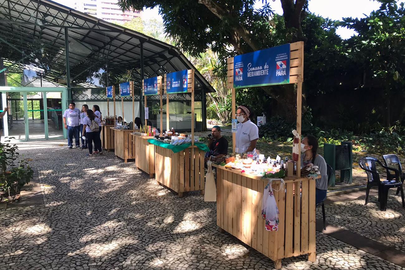 Acesso a Mercados: Conectando o Pequeno Produtor à Bioeconomia - inspiração 1