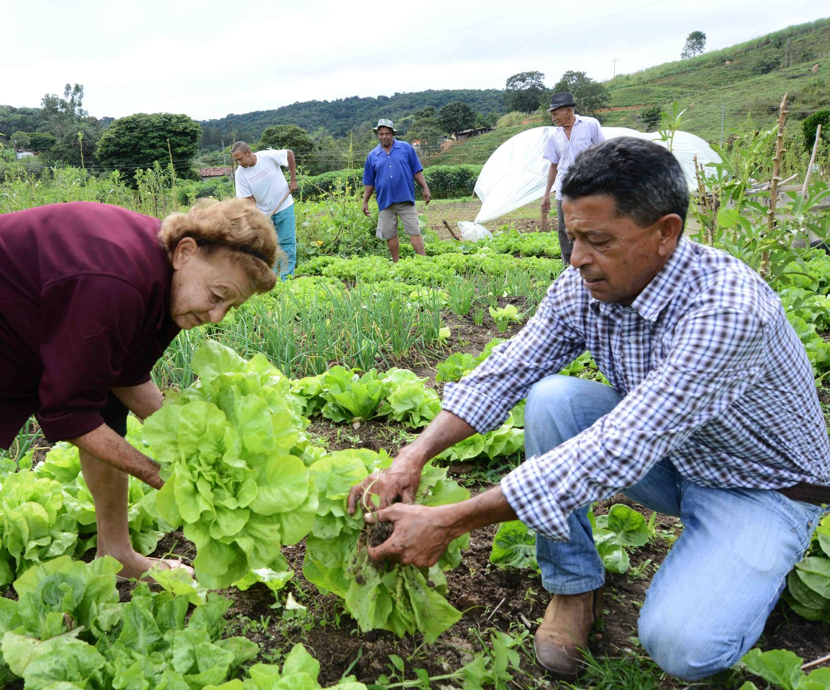Fortalecendo a Comunidade: Troca de Saberes e Apoio Mútuo - inspiração 1