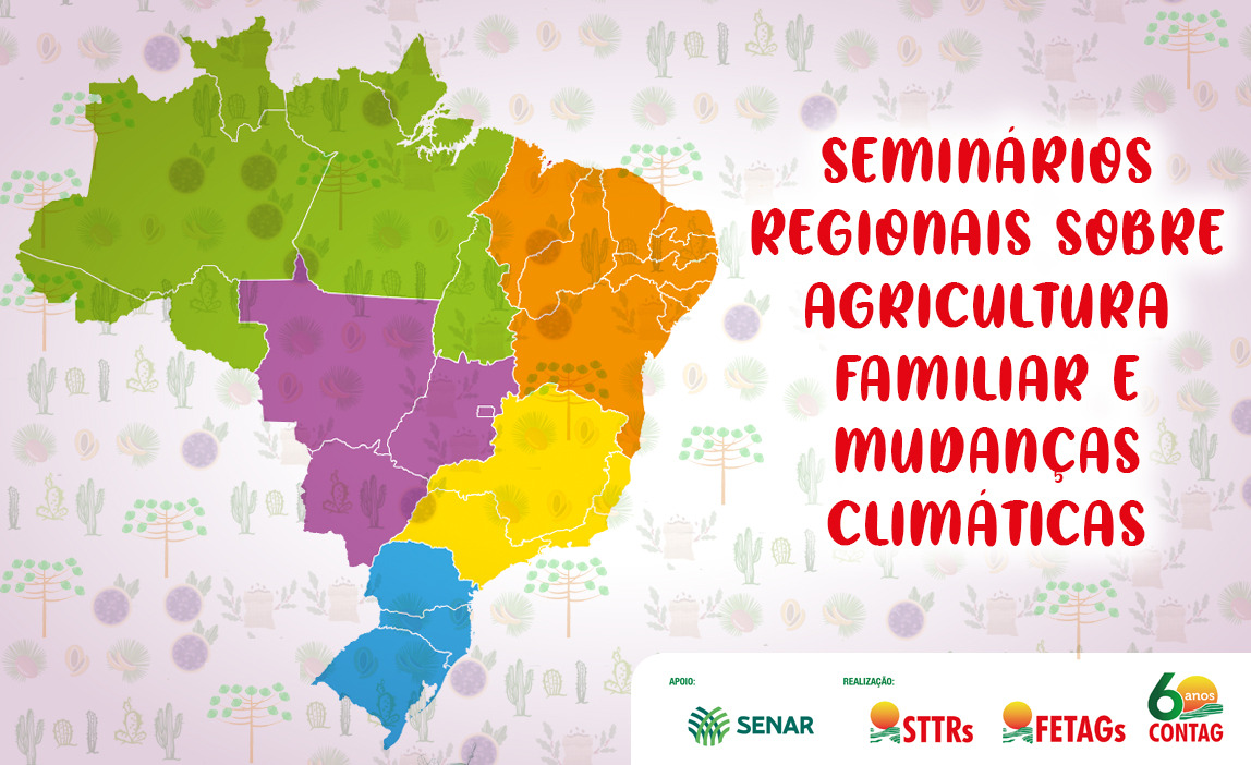 Diversificação é a Chave: Não Coloque Todos os Ovos na Mesma Cesta - inspiração 2