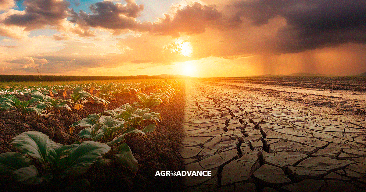 Tecnologia no Campo: Aliada do Agricultor Moderno - inspiração 1