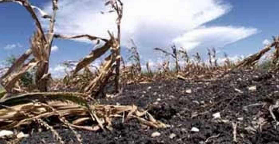 Tecnologia no Campo: Aliada do Agricultor Moderno - inspiração 2