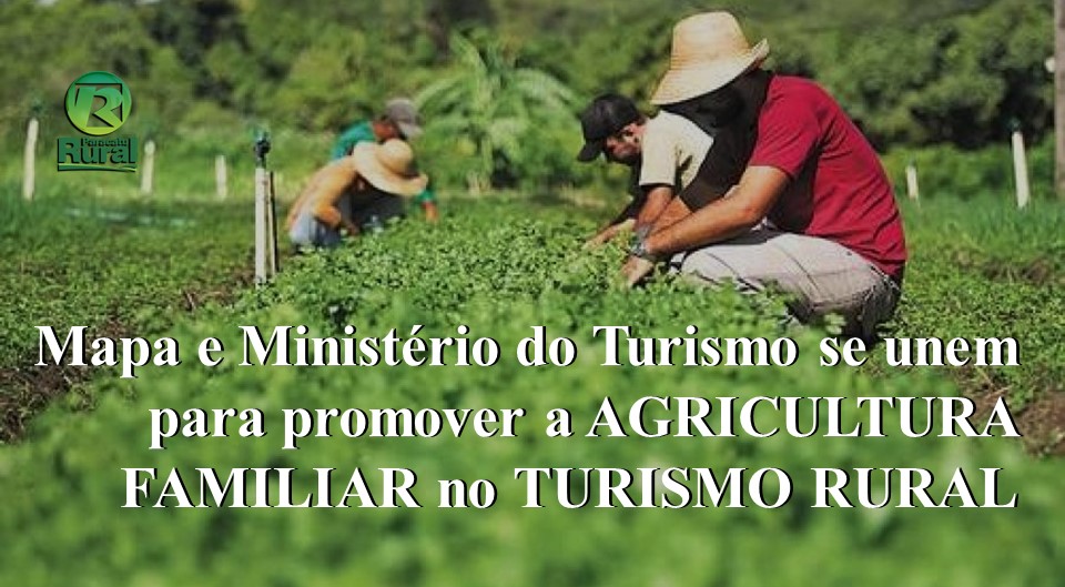 Impacto Econômico: Gerando Renda e Fortalecendo Comunidades Locais - inspiração 2