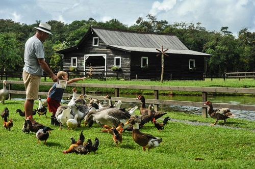 Desafios e Oportunidades: Navegando no Caminho do Sucesso - inspiração 1