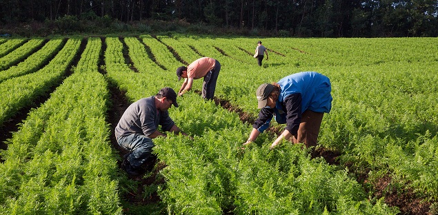 Desafios e Oportunidades: Navegando no Caminho do Sucesso - inspiração 2