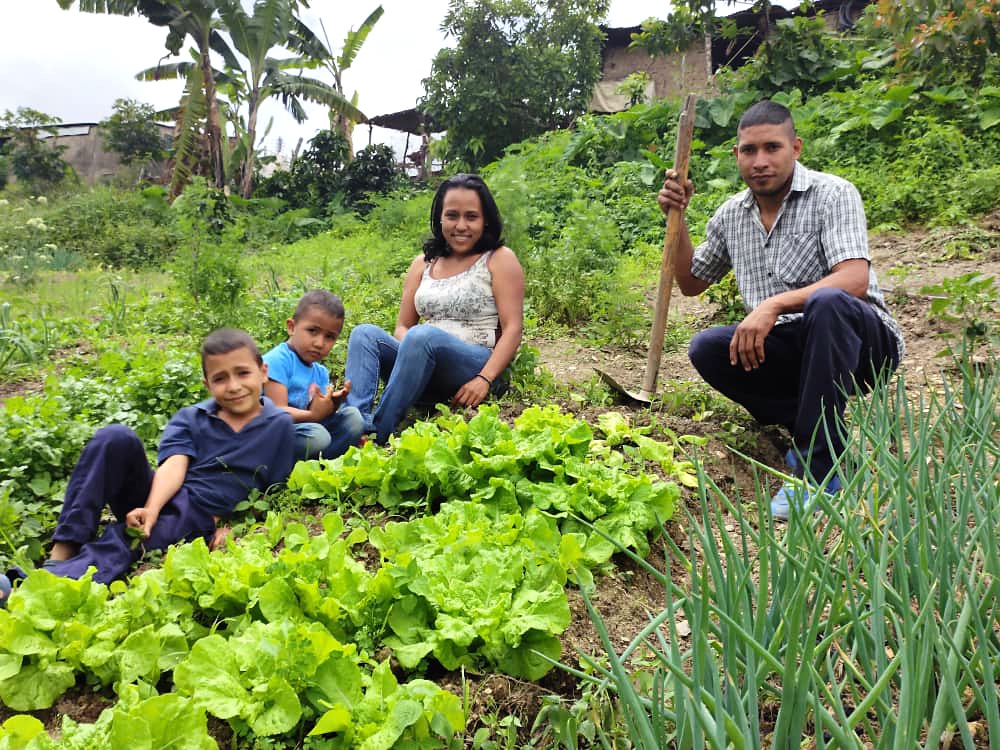 Planejamento Inteligente: O Primeiro Passo para uma Colheita Farta - inspiração 2