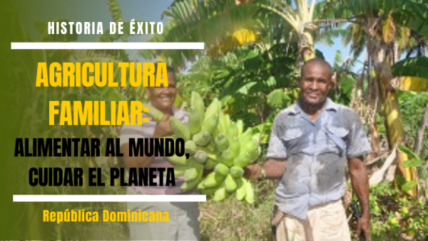 Acesso a Mercados e Comercialização: Vendendo Seu Produto com Lucro - inspiração 1