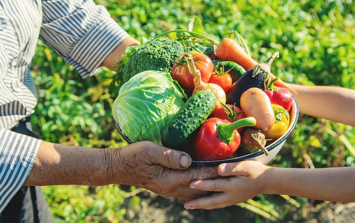 Acesso a Mercados e Comercialização: Vendendo Seu Produto com Lucro - inspiração 2