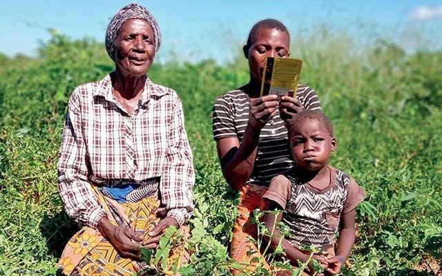 Preparando o Solo: A Base Sólida para o Desenvolvimento das Plantas - inspiração 1