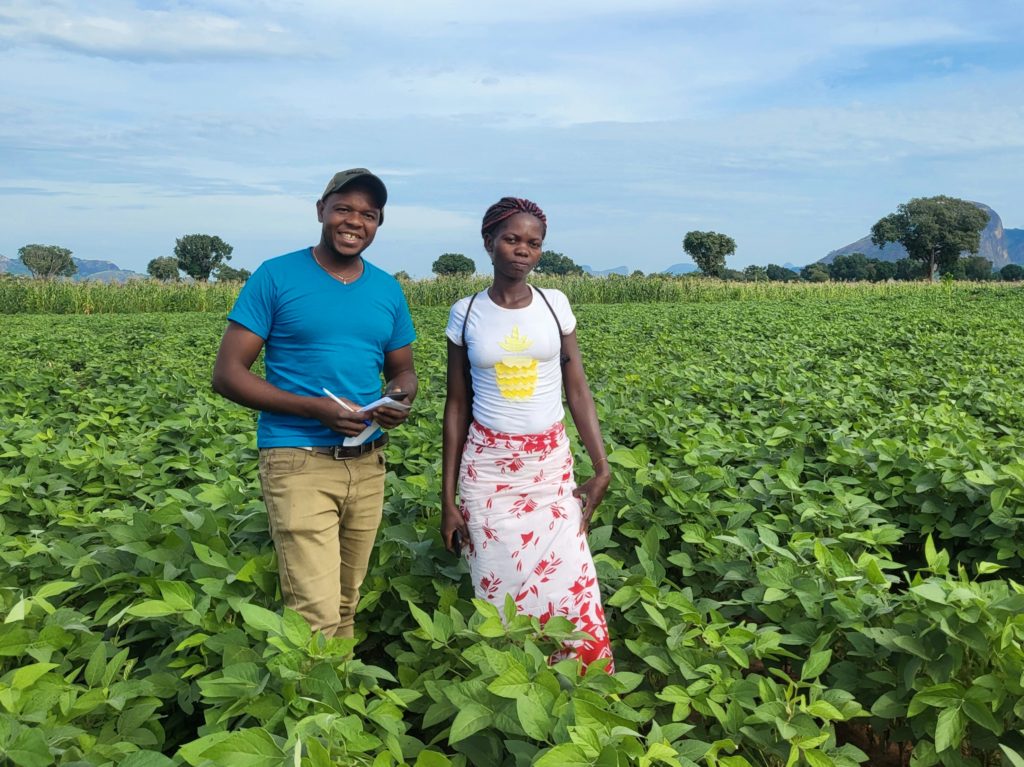 Sementes e Mudas de Qualidade: Investindo no Futuro da Sua Produção - inspiração 1