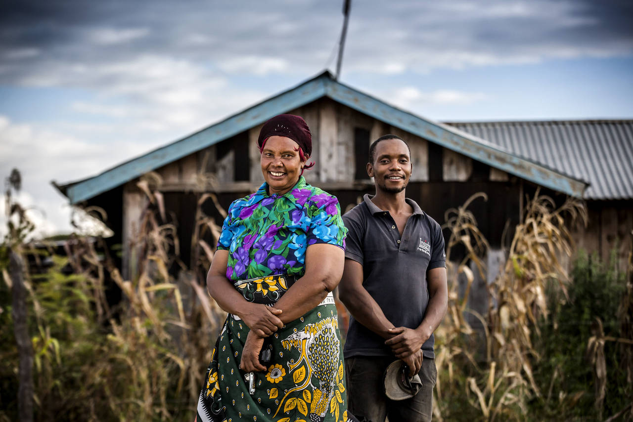Técnicas de Cultivo Eficientes: O Segredo para Maximizar Rendimentos - inspiração 2