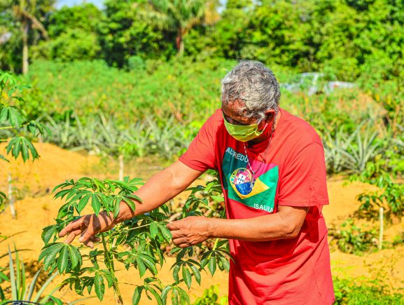 A Essência da Agricultura Familiar na Amazônia: Seu Pilar Estratégico