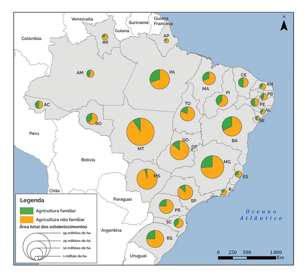 Programas de apoio: o que o governo oferece para fortalecer - inspiração 1