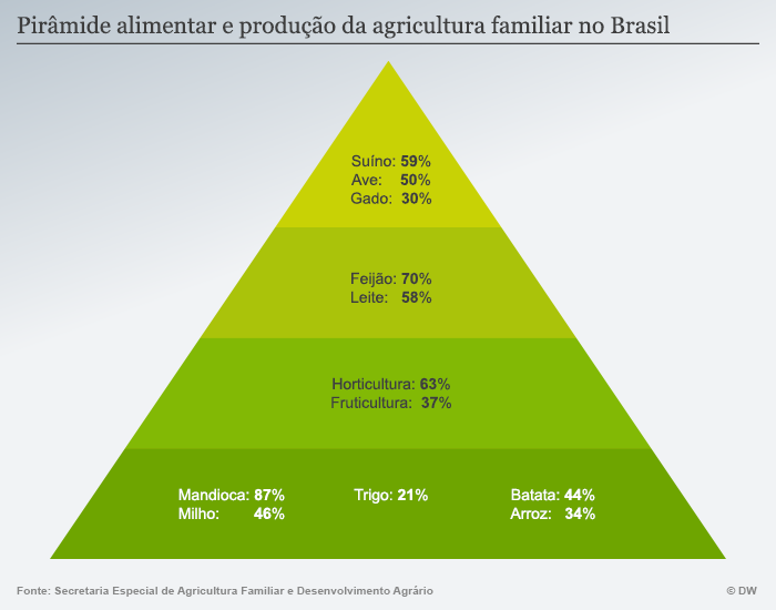 Tecnologia no campo: como a inovação chega à agricultura familiar - inspiração 2