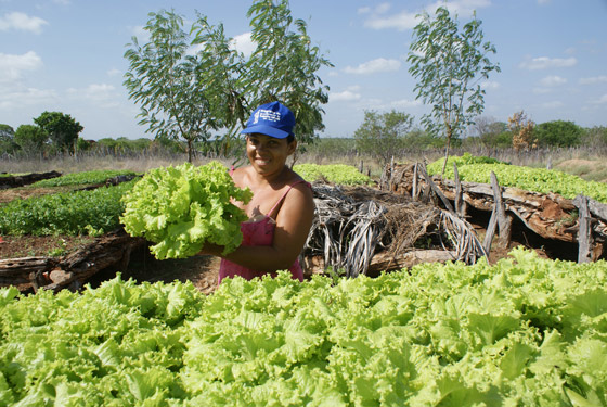 Técnicas de Irrigação Eficientes e Econômicas - inspiração 2