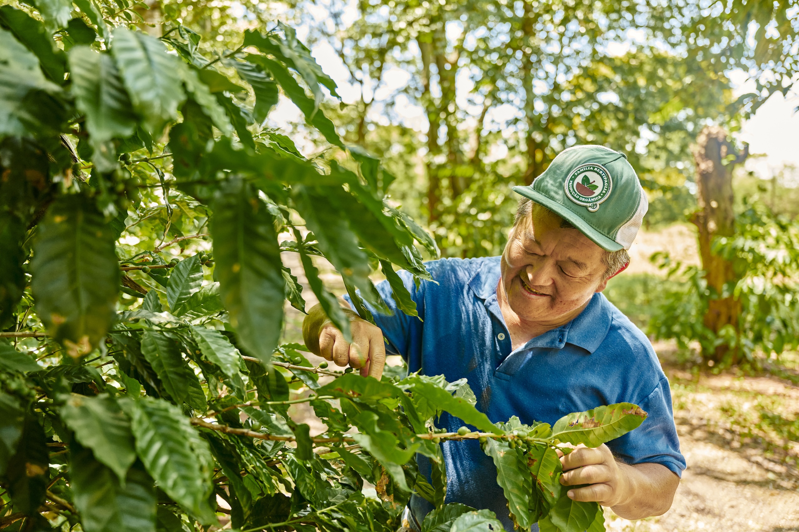 Adubação Natural: O Poder do Orgânico - inspiração 1