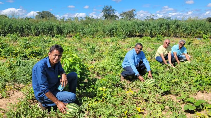 Plantio Direto: Conservando a Terra e a Água - inspiração 1