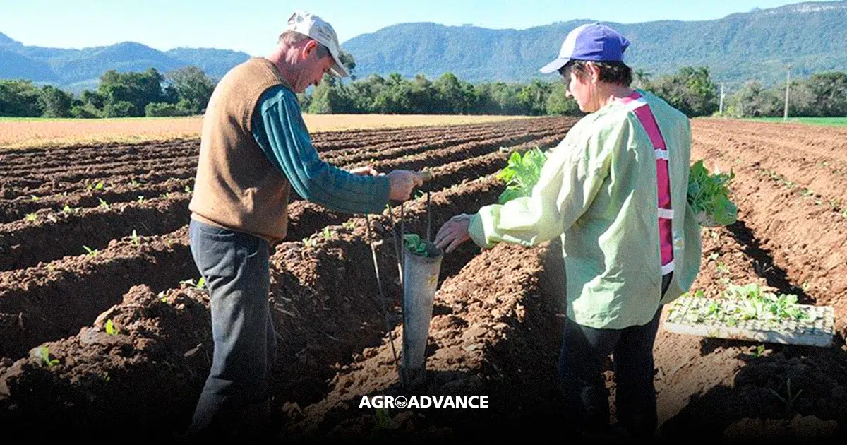 Legado e Aprendizado: Transmitindo Conhecimento Entre Gerações na Família - inspiração 1