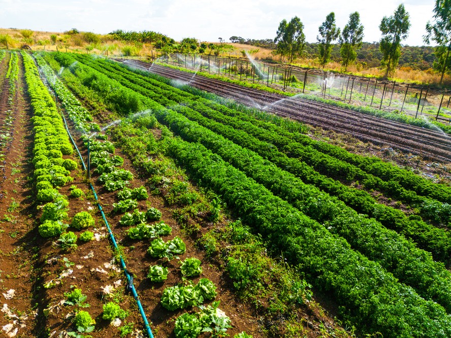 Água é Vida, Conhecimento é Colheita: Gestão Inteligente dos Recursos Hídricos - inspiração 2