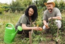 Ferramentas para Crescer: A Importância da Tecnologia e Inovação no Campo - inspiração 2