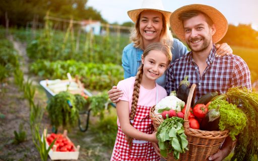 Sustentabilidade em Cada Grão: Práticas Ecológicas para um Futuro Verde - inspiração 2