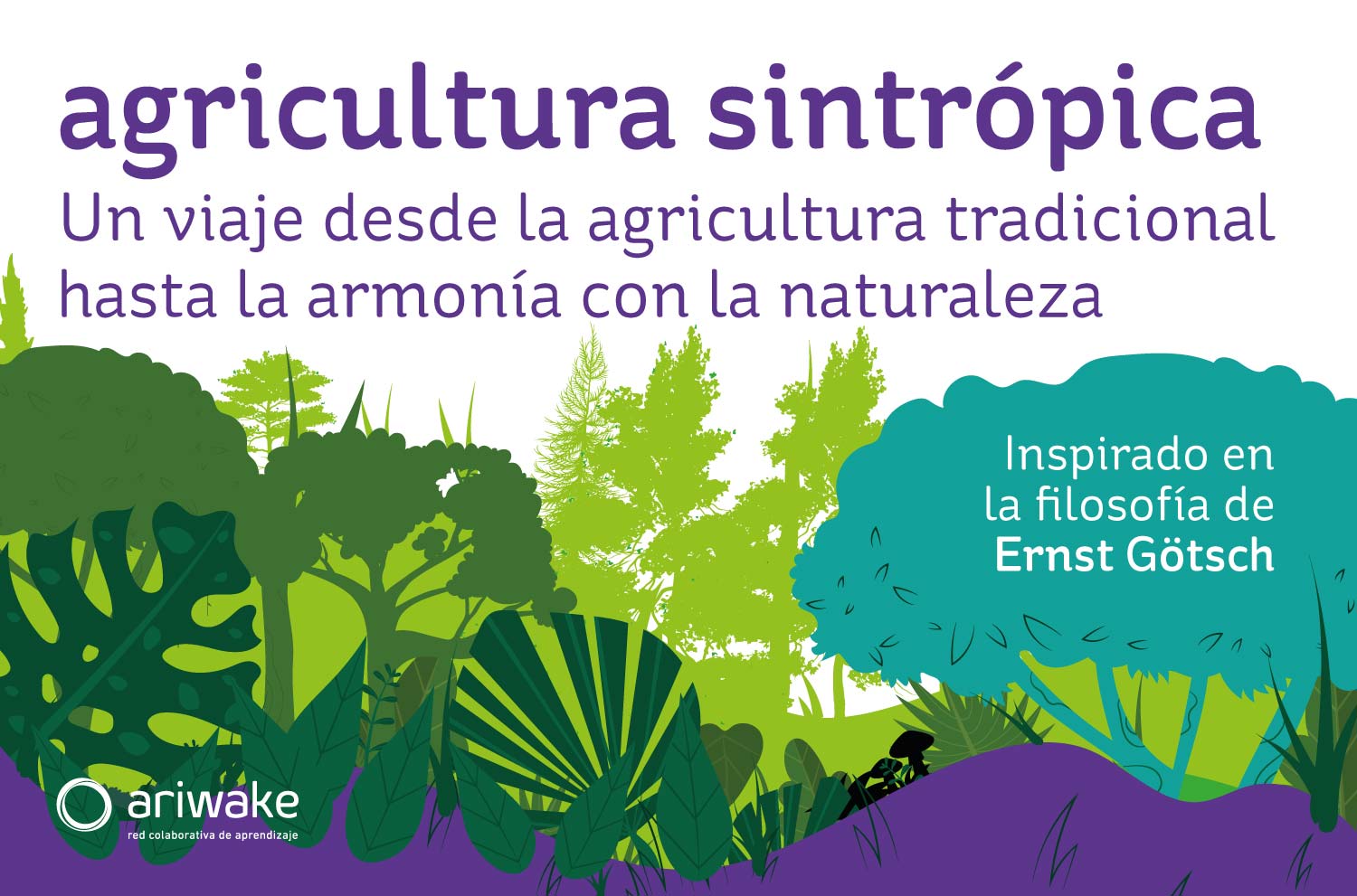 A Sinergia entre Plantas e Solo: O Coração da Sintropia - inspiração 1