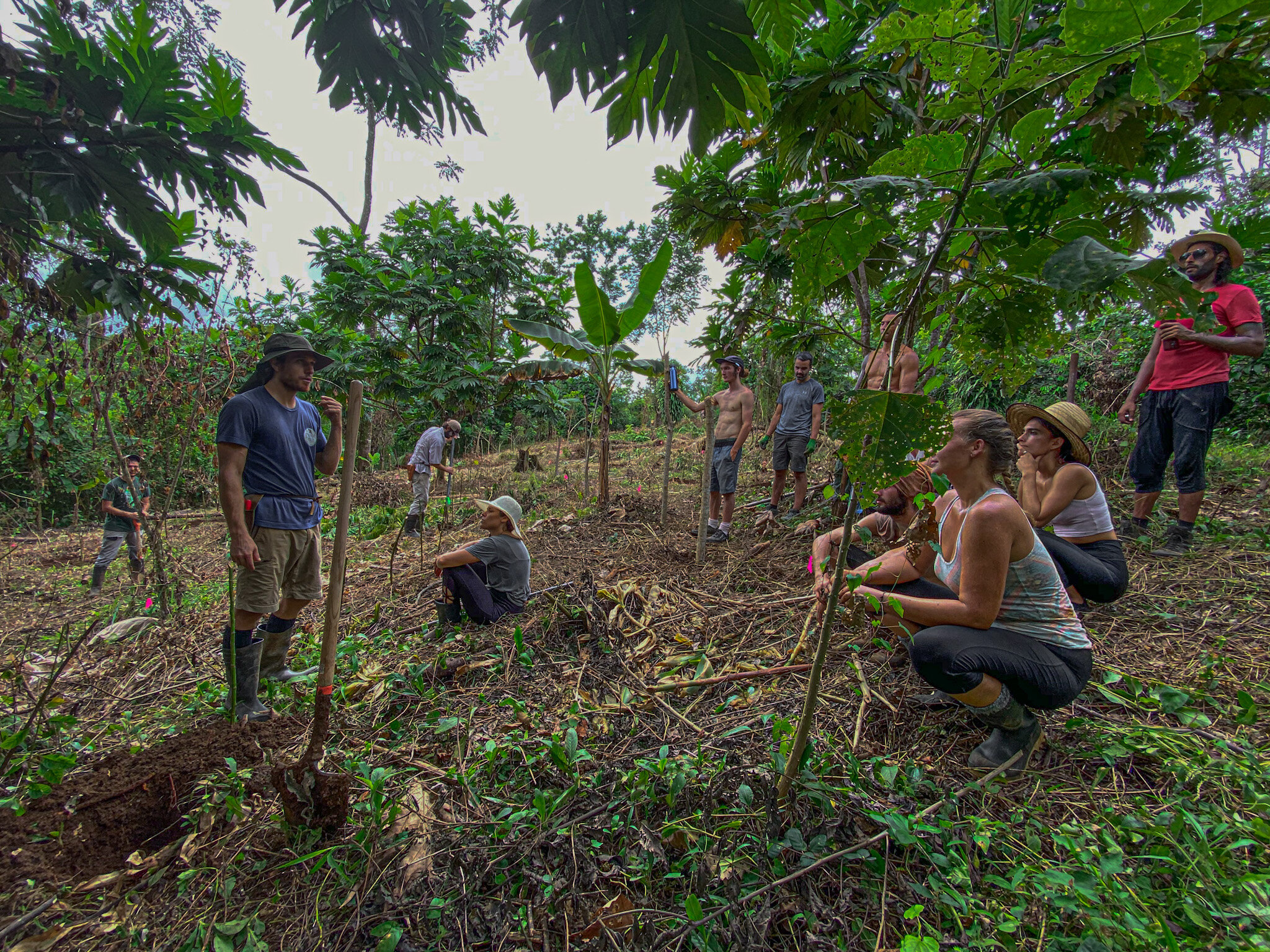Manejo da Água: Ciclos Naturais no Seu Sistema - inspiração 1