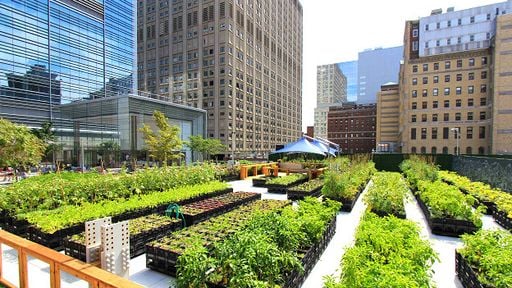Vasos ou Canteiros? A Melhor Opção para Seu Espaço - inspiração 1