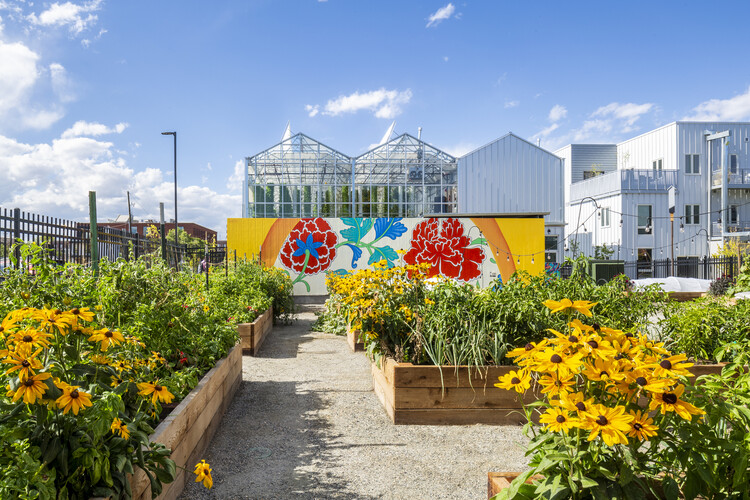 Colheita: O Momento Mais Doce e Gratificante - inspiração 1