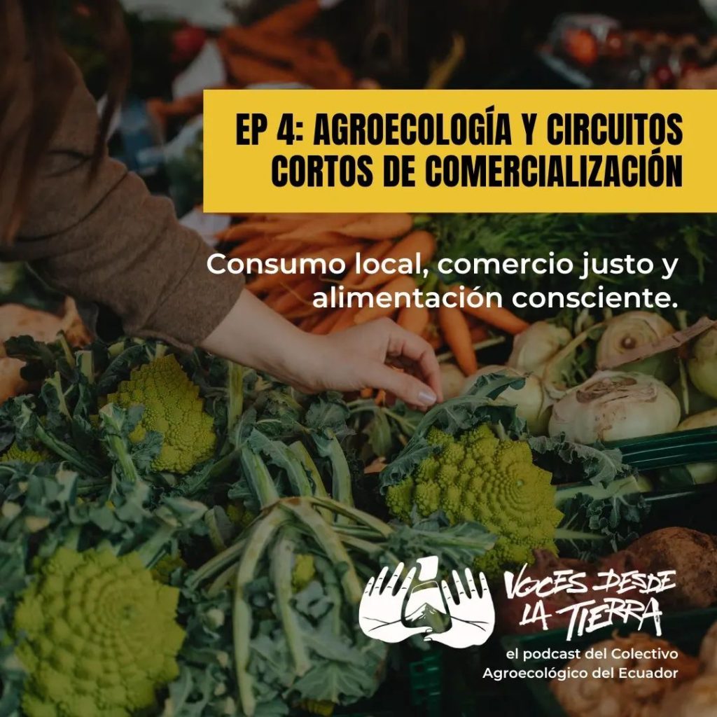 Tendências de Mercado Que Impulsionam a Agroecologia - inspiração 1