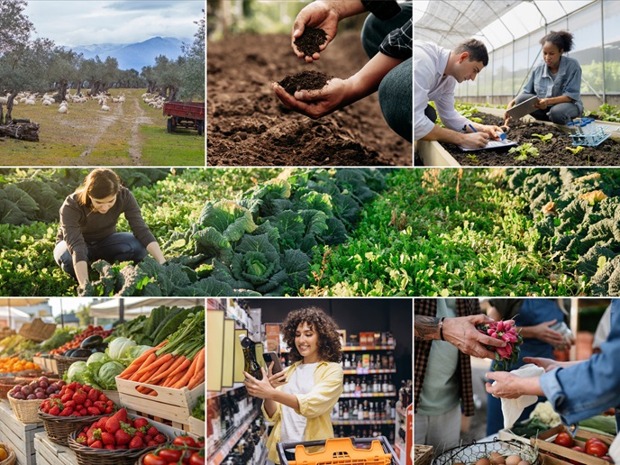 Diferenças Sutis, Mas Cruciais: Orgânico vs. Agroecológico - inspiração 2