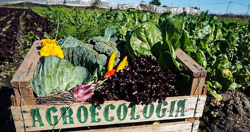 Certificação Agroecológica: Um Guia Rápido - inspiração 1