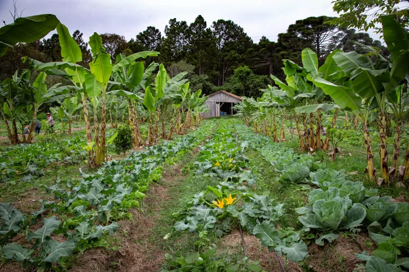 A História Por Trás do Alimento: Conexão e Confiança - inspiração 2