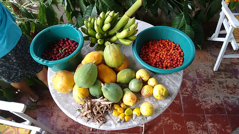 Agroecologia e a Valorização do Trabalho Rural - inspiração 1