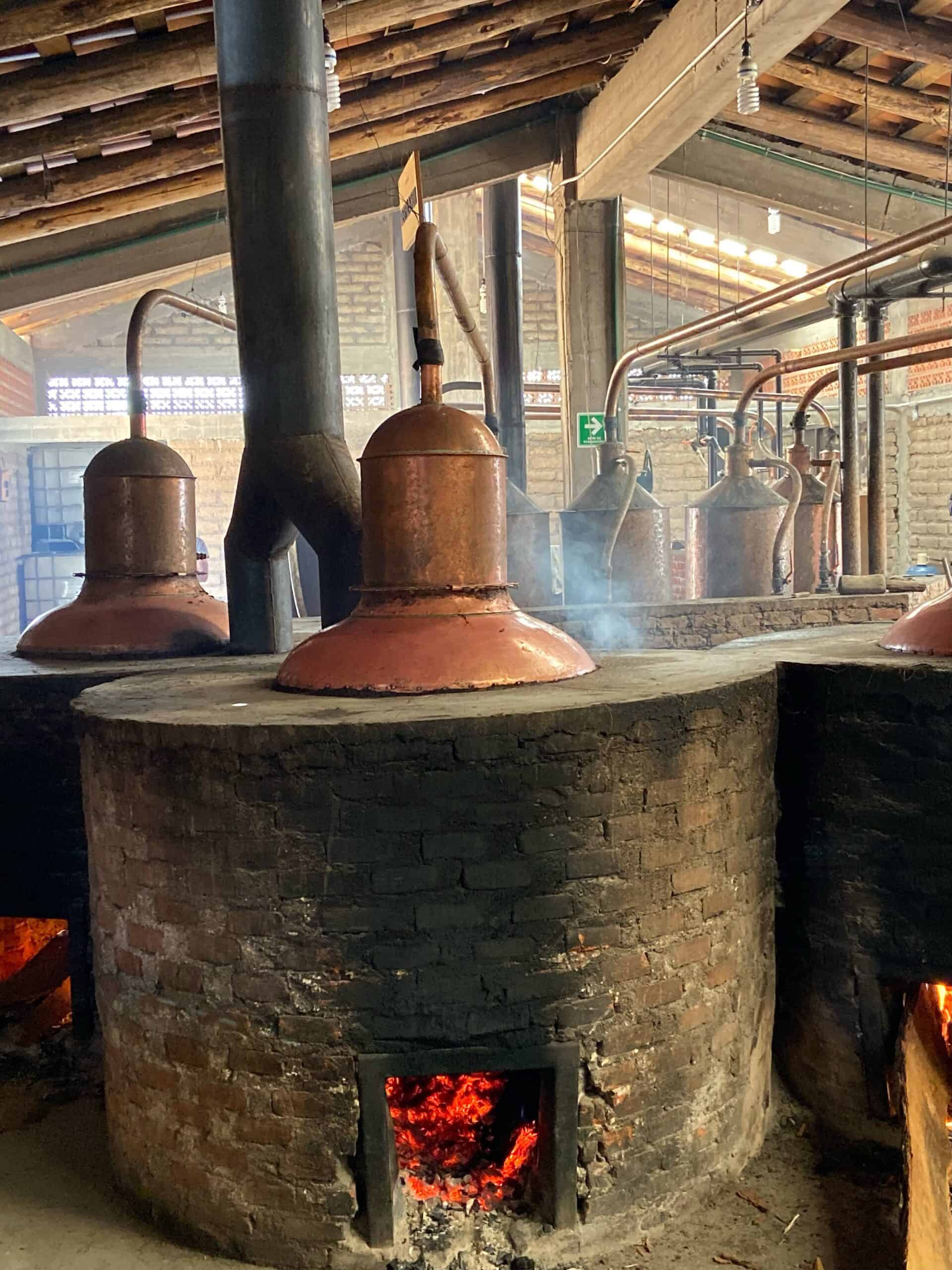 O Processo de Fermentação: A Alma da Sua Bebida - inspiração 1