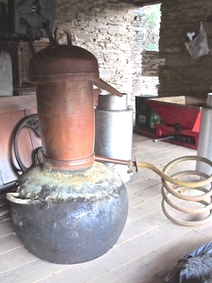 O Processo de Fermentação: A Alma da Sua Bebida - inspiração 2