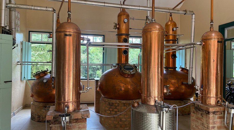 A Primeira Destilação: Criando o 'Coração' do seu Destilado - inspiração 1