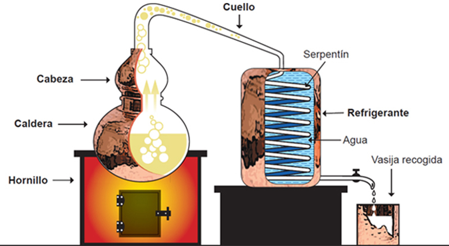 Dicas de Segurança Essenciais para Usar seu Alambique - inspiração 2