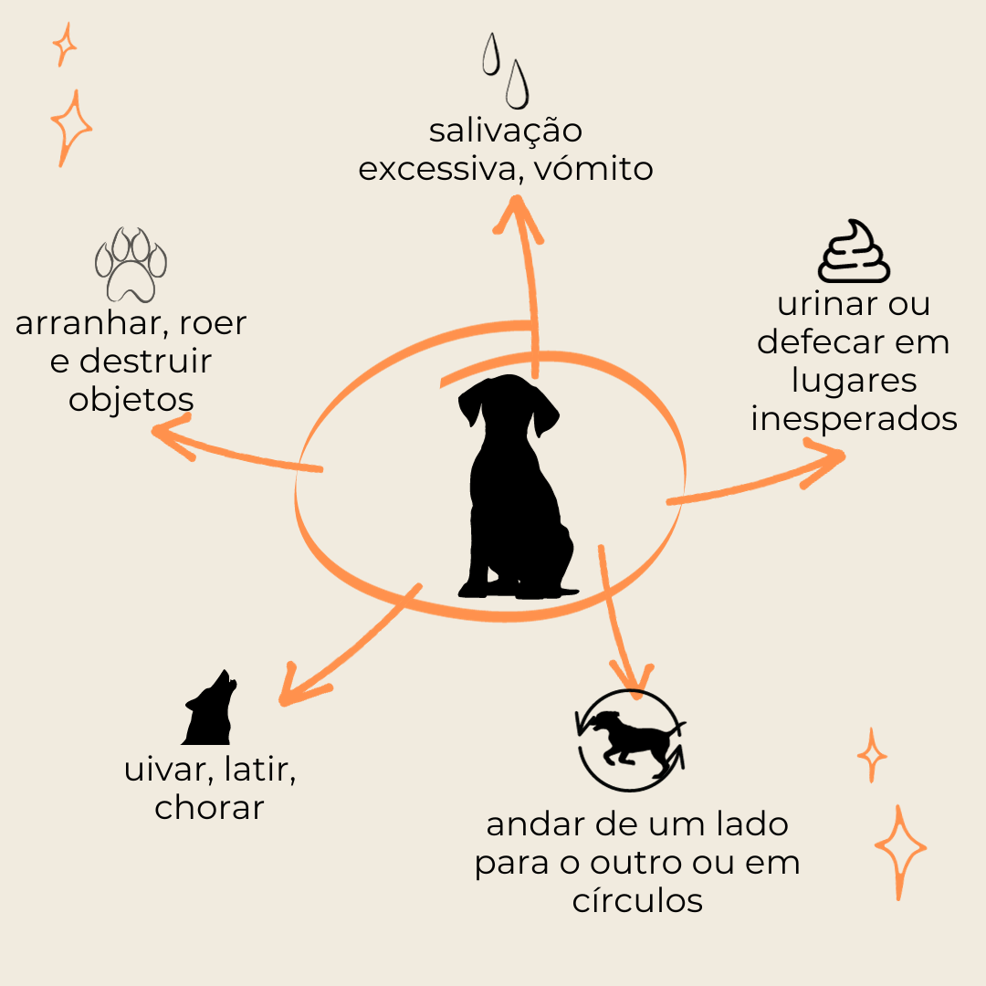 O Que É Exatamente a Ansiedade de Separação Canina? - inspiração 1