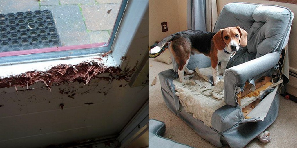 Ferramentas e Produtos Que Podem Auxiliar no Manejo - inspiração 2