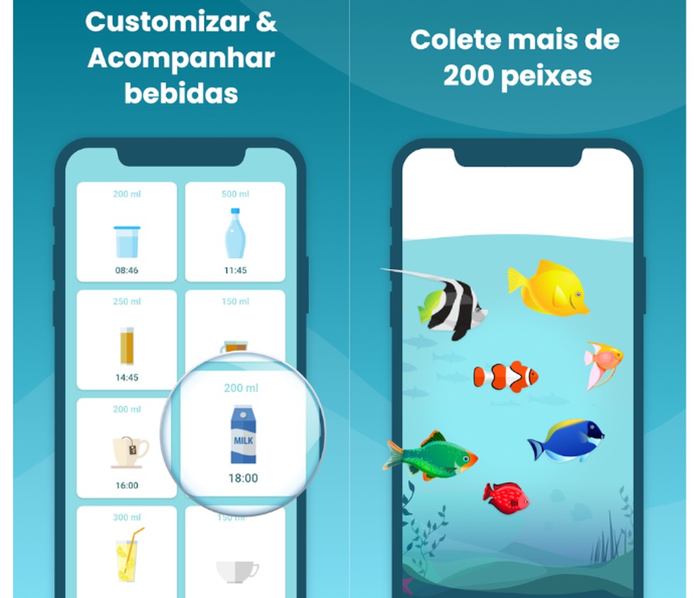 App C: Para quem Gosta de Visualizar o Progresso - inspiração 2